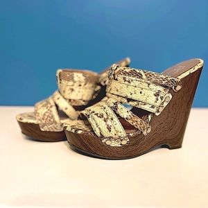 Sexy Ladies, wedge shoe